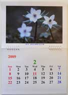 2009年　「花カレンダー」 