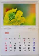 2009年　「花カレンダー」