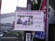 浜田山メインロード商店会　街灯ポスター