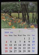 ２０１０年花カレンダー 