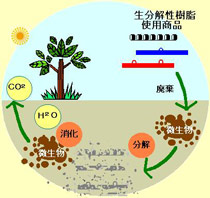 生分解性イメージ